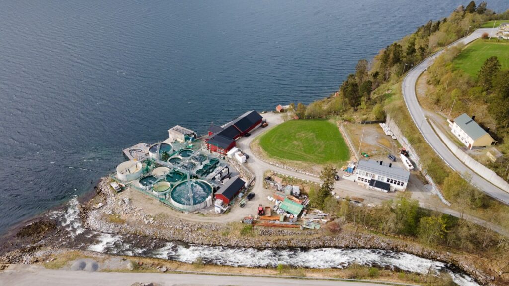 Sterner Upgrades Water Treatment at Salmon Evolution’s Smolt Facility