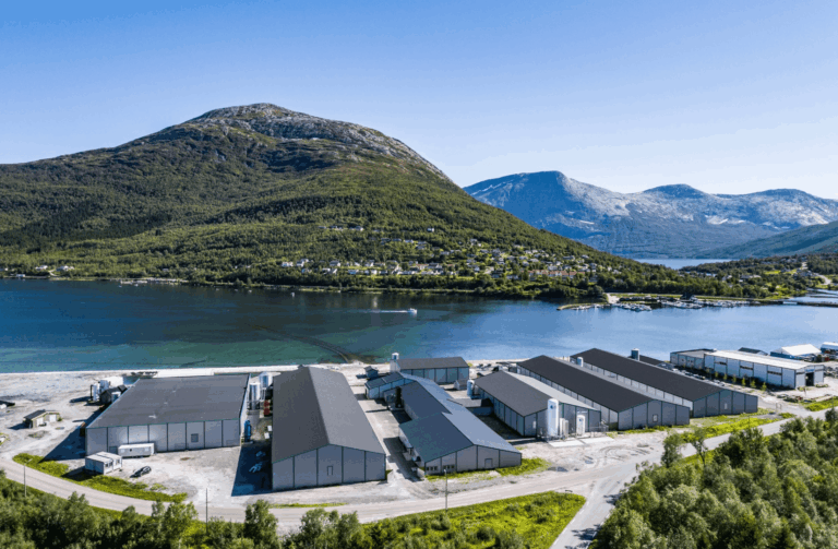 Dronebilde fra Sisomar