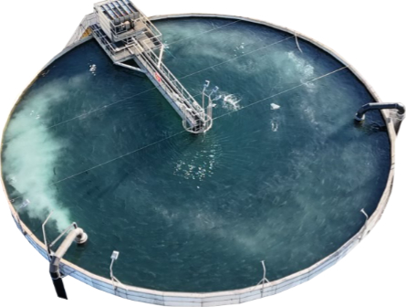 OxyTech i drift med nanobobler i fisketank
